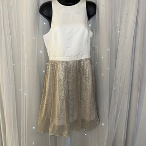 NWT Gianni Bini “Holly” Dress. Ivory/Gold Size 8 #10182